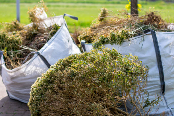 Best Garage Cleanout  in Theodore, AL